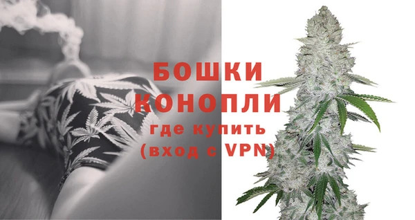 мдпв Лагань