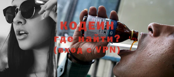 молекула духа Ладушкин