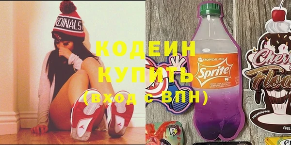 молекула духа Ладушкин