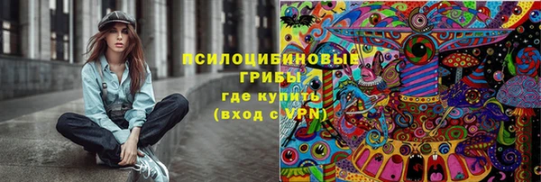 мдпв Лагань