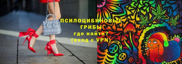 мдпв Лагань