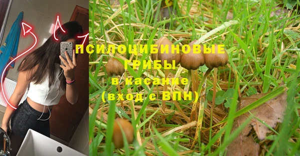 молекула духа Ладушкин
