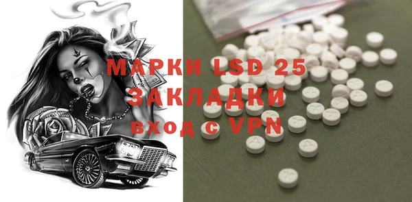 прущие грибы Липки