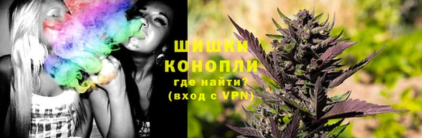 ПСИЛОЦИБИНОВЫЕ ГРИБЫ Лихославль
