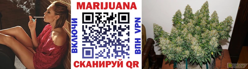 Каннабис планчик  цена наркотик  Лодейное Поле 